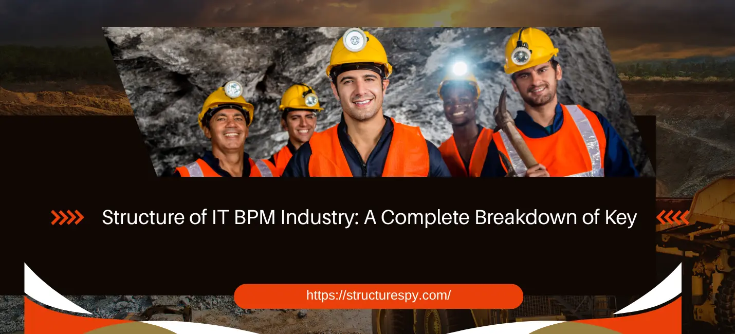 structure of it bpm industry